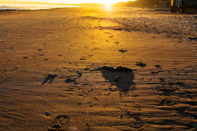 High angle view of wet sand on beach