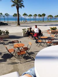 People sitting on chair by palm trees