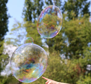 Close-up of bubbles against trees