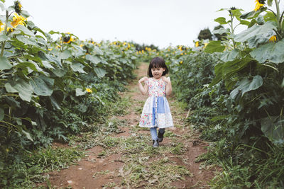 Full length of girl walking amidst plants