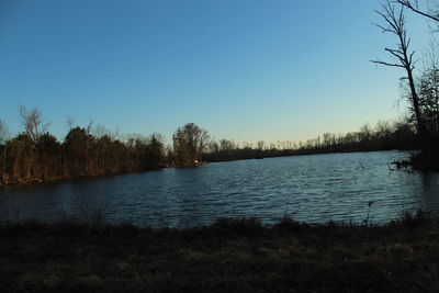 Scenic view of lake in forest against clear sky