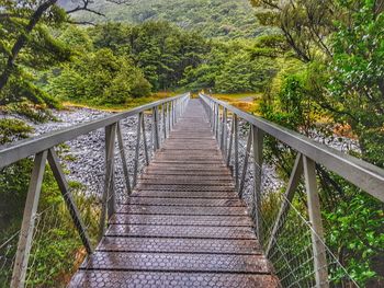 Footbridge amidst trees in forest