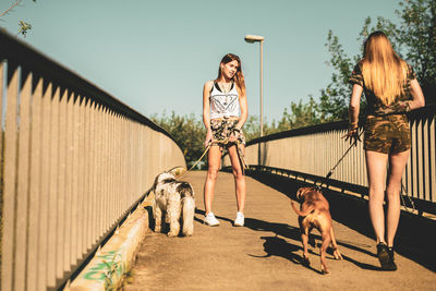 Young women with dogs walking on footbridge against clear sky during sunny day