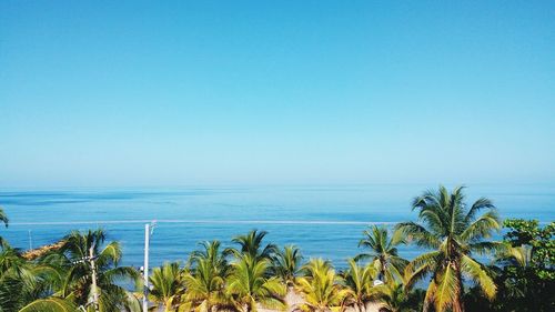 Scenic view of sea against clear blue sky