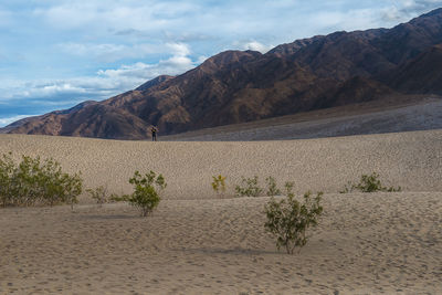 Scenic view of desert against sky