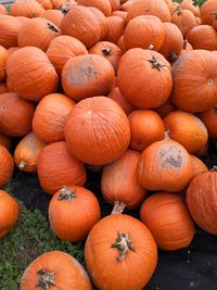 Full frame shot of pumpkins