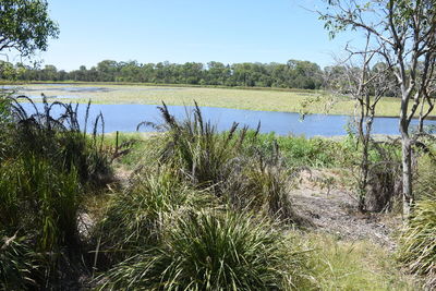 Scenic view of lake against clear sky