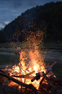 Firework display over lake against trees at night