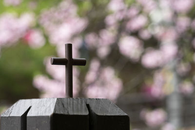 Close-up of wooden post