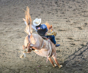 High angle view of cowboy riding horse on dirt