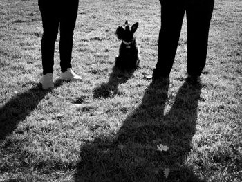 Low section of person standing with dog on field