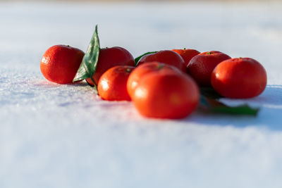 Close-up of tomatoes on table