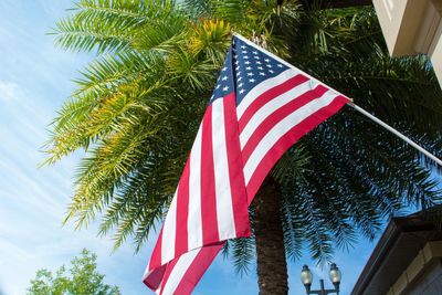 Low angle view of flag against tree