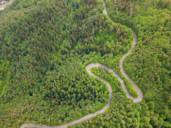 Winding road from high mountain pass, in summer time. aerial view by drone . romania