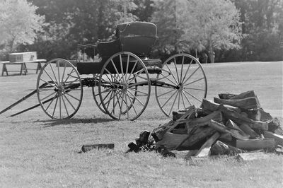 Bicycles on field against trees