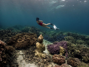 Man swimming in sea