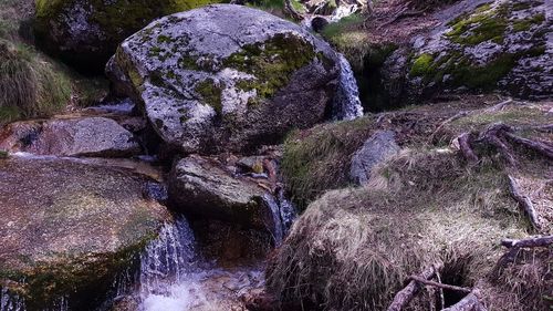 Scenic view of waterfall in forest