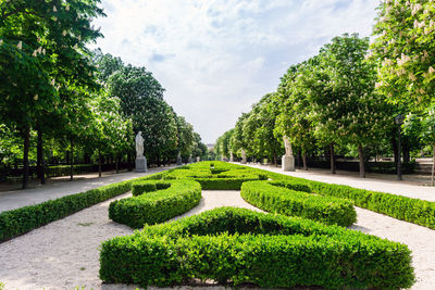 Footpath amidst trees in park