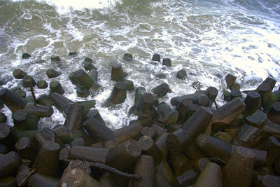 High angle view of rocks on beach