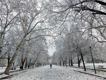 Snow covered road passing through forest