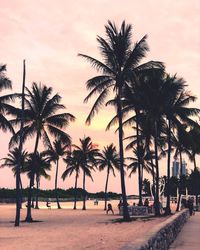 Palm trees on beach against sky during sunset