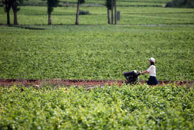 Man sitting on grassy field