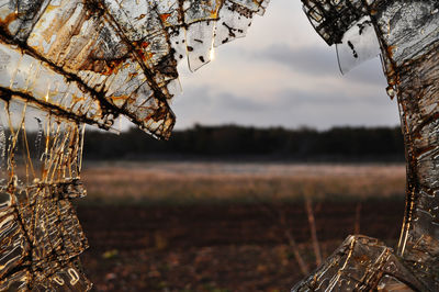 Field seen through broken glass 