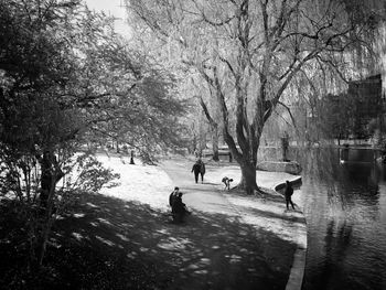 Reflection of bare trees in water