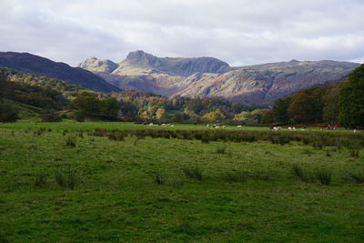 Scenic view of landscape and mountains against sky