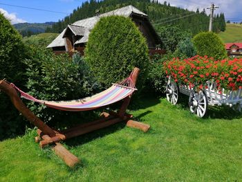 Potted plants and trees by house against sky