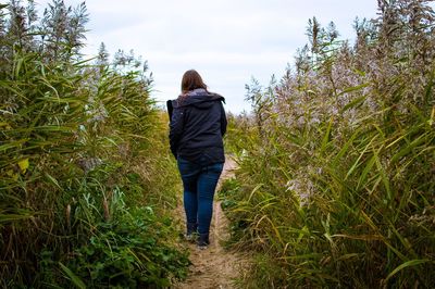 Rear view of man standing in forest