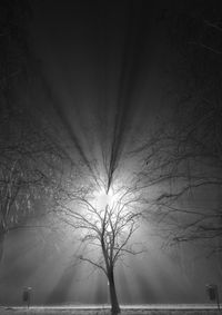 Low angle view of bare trees against sky