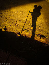 Silhouette of man standing on floor