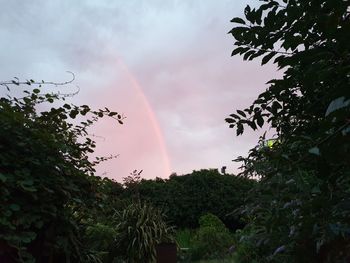 Low angle view of rainbow against sky