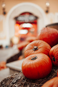 Close-up of pumpkins for sale