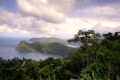 Scenic view of forest by sea against sky