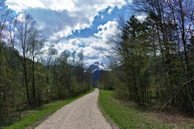 Road amidst trees and plants against sky