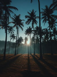 Silhouette palm trees against sky during sunrise