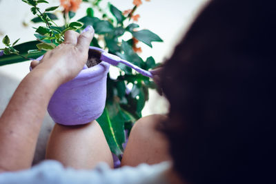 Close-up of hand holding purple plant