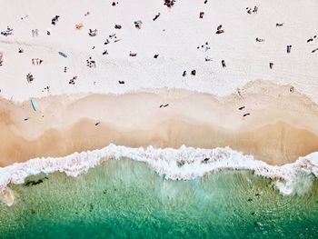 View of birds on beach