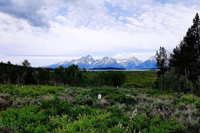 Scenic view of landscape against sky