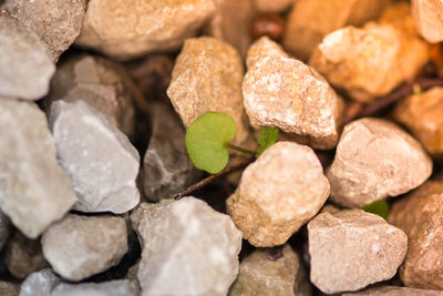 Full frame shot of pebbles