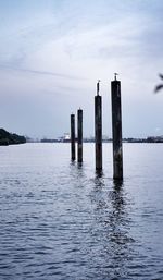 Wooden posts in lake against sky