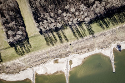 High angle view of river amidst trees in forest