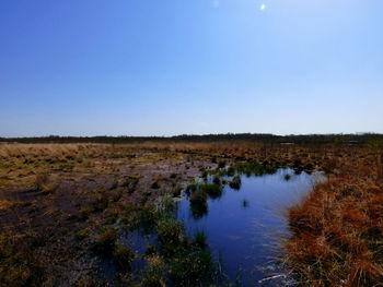 Scenic view of calm lake against clear sky