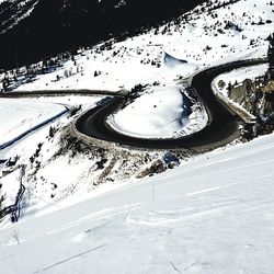 Close-up of plant in background