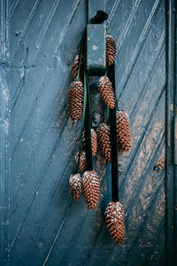 Close-up of pine cone on wooden wall