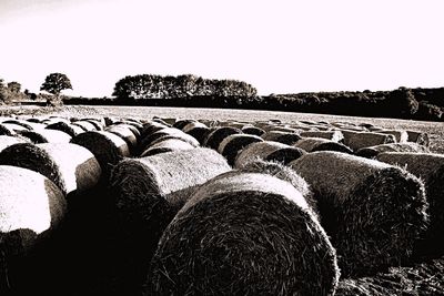 Hay bales on field against clear sky