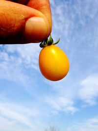 Low angle view of hand holding apple against sky