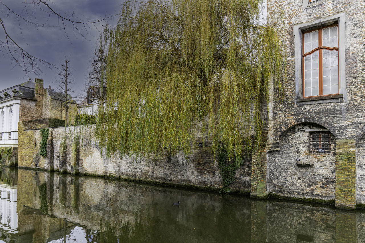 architecture, built structure, building exterior, water, waterway, building, house, nature, reflection, wall, tree, plant, canal, no people, urban area, day, residential district, outdoors, moat, rural area, willow, town, sky, window, wall - building feature, city, history, old, château
